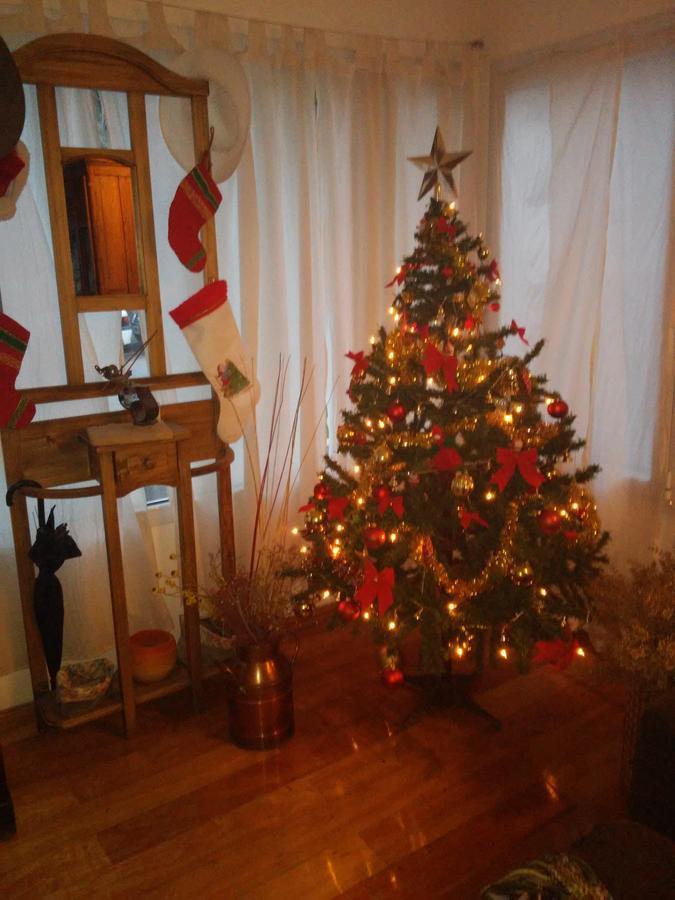 La Casa De Silvia Bed & Breakfast Пуерто Мадрин Екстериор снимка